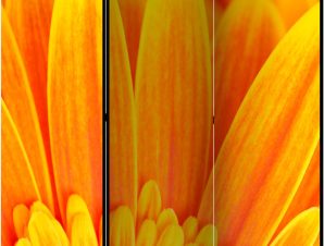 Διαχωριστικό με 3 τμήματα – Yellow gerbera daisies [Room Dividers]